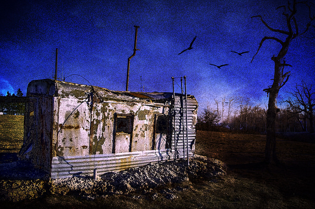 32357198410_83f86b3077_z