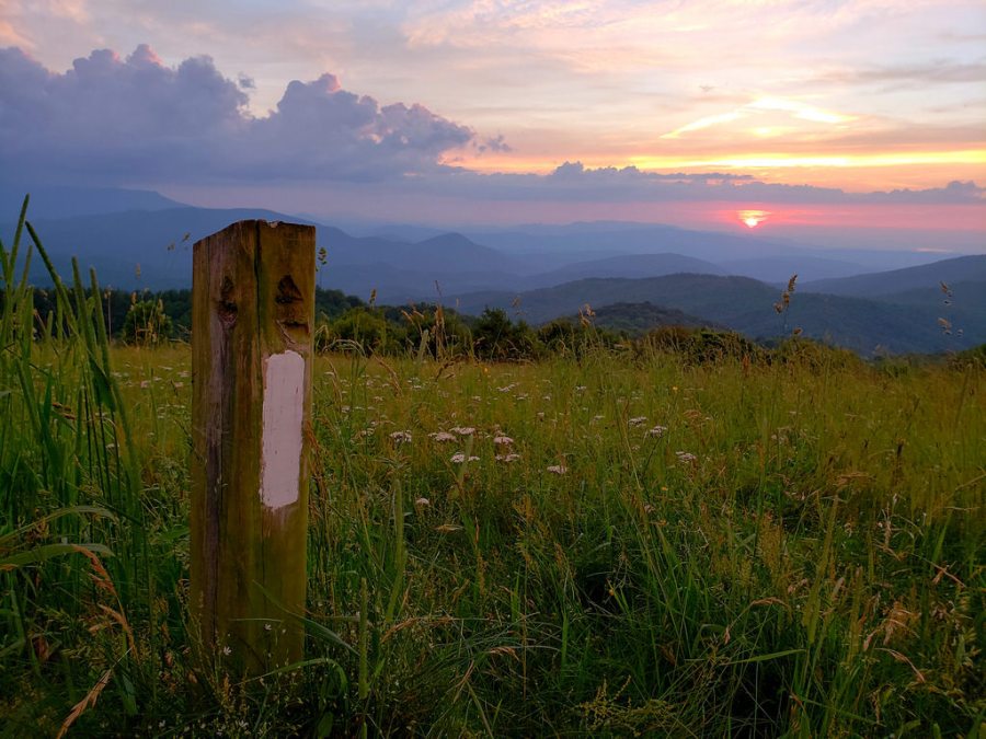 28327977937_b89480d142_b