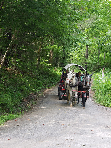 42294815965_f14e89d7dc