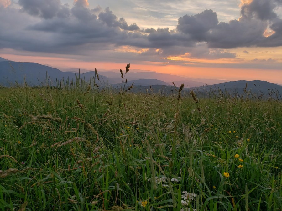 43198169221_e227a35754_b